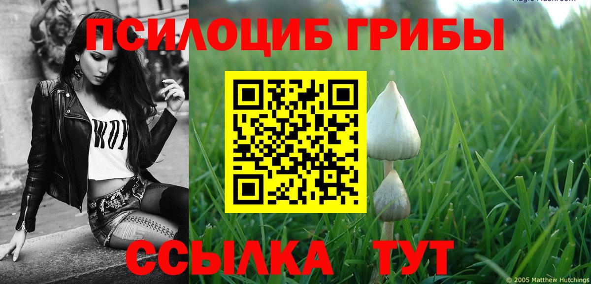 Галлюциногенные грибы Psilocybine cubensis Мегион