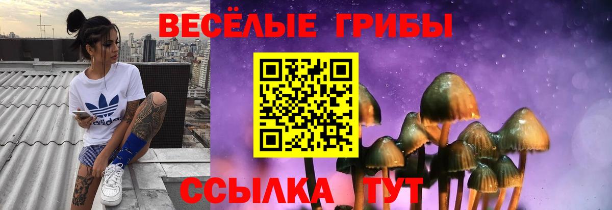 Псилоцибиновые грибы мицелий  Псилоцибиновые грибы Magic Shrooms  Вход с VPN  Мегион 